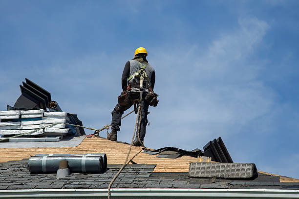 Professional Flat Roof Repair technician working in Morrison, IL